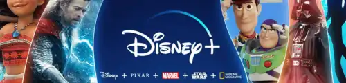 Disney+ Subscription